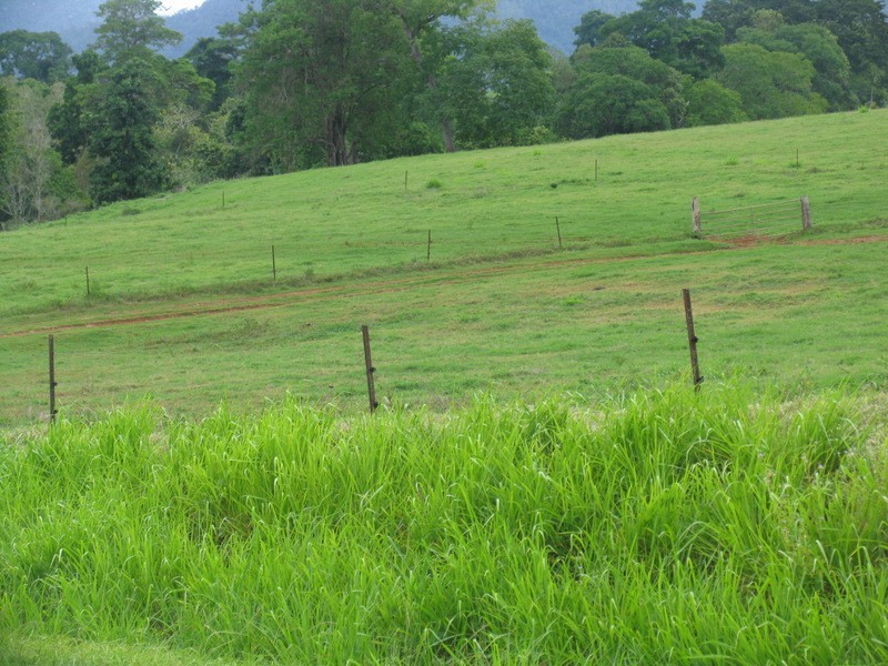 Goldsborough QLD 4865