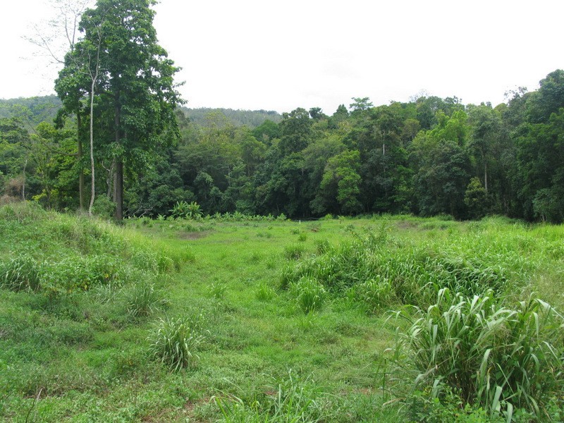 Goldsborough QLD 4865