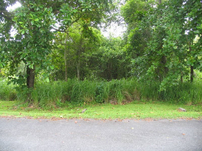 Goldsborough QLD 4865