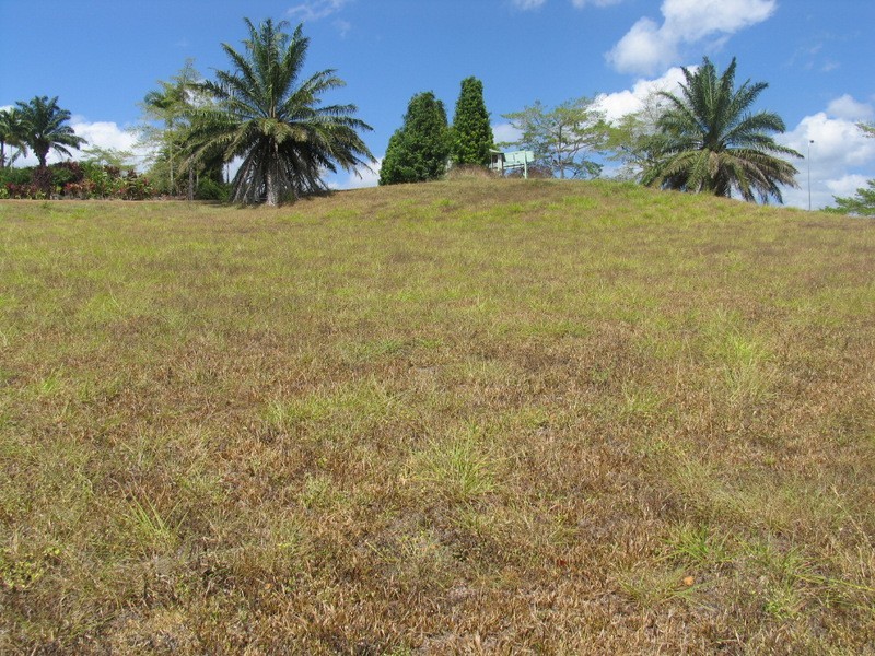 Goldsborough QLD 4865
