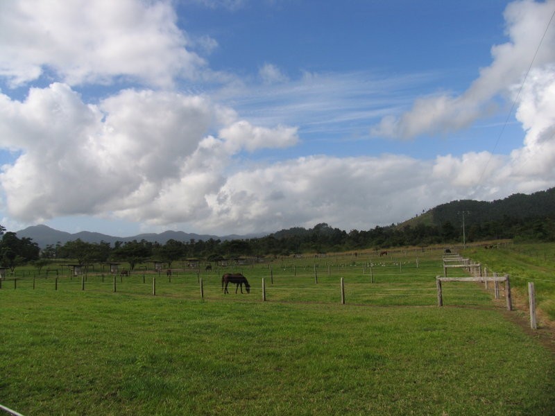 Cairns QLD 4870