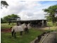 Cairns QLD 4870