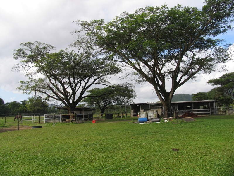 Cairns QLD 4870