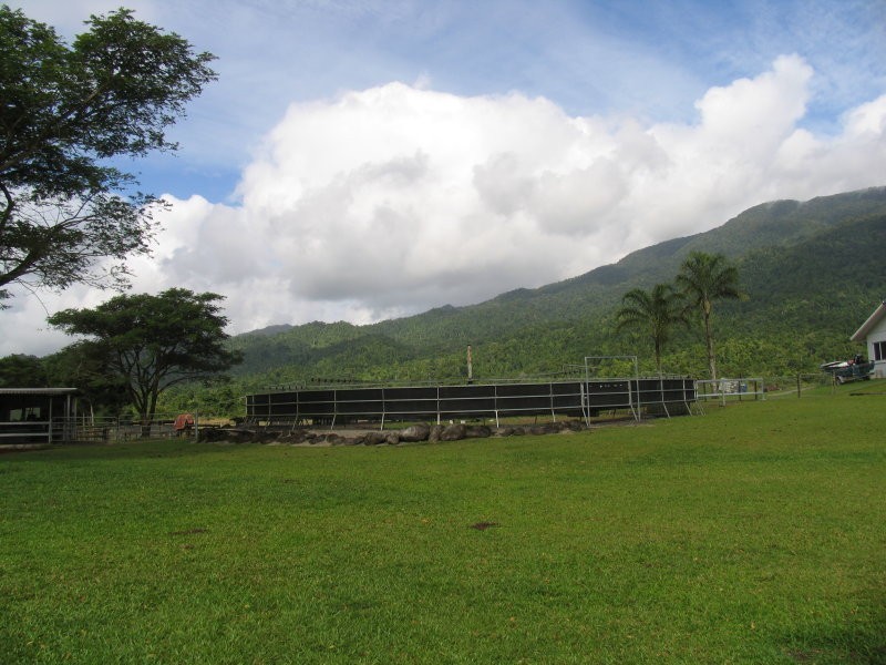 Cairns QLD 4870