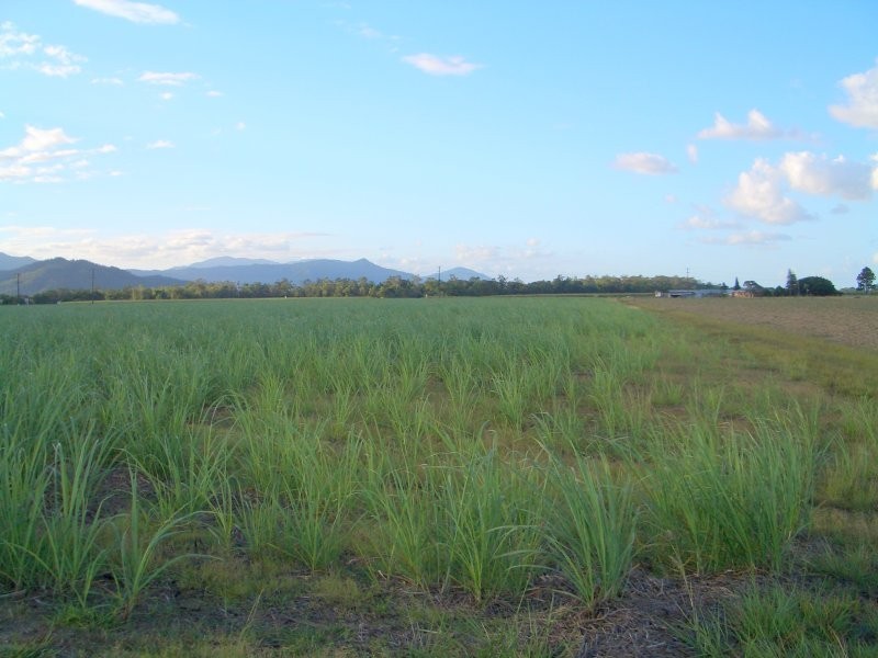 Gordonvale QLD 4865