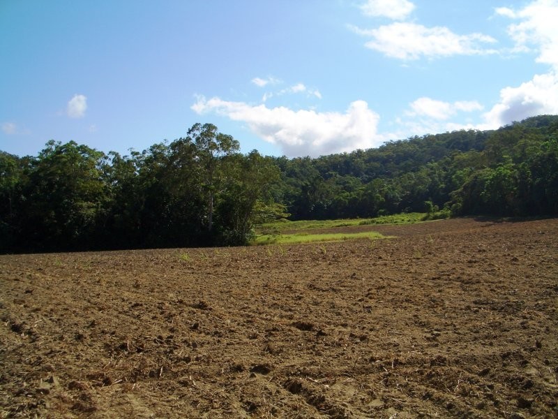 Gordonvale QLD 4865