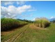 Gordonvale QLD 4865