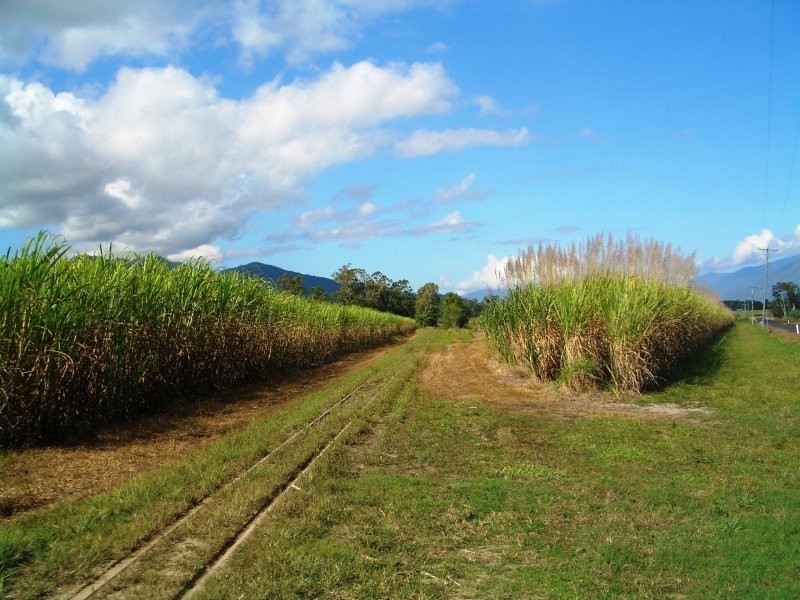 Gordonvale QLD 4865