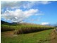 Gordonvale QLD 4865
