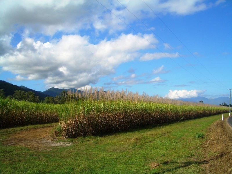 Gordonvale QLD 4865