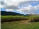 Gordonvale QLD 4865