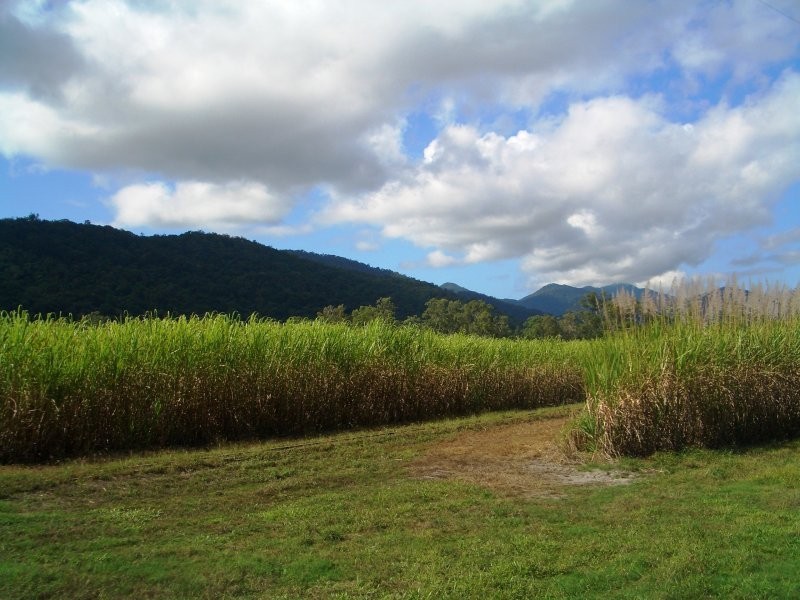Gordonvale QLD 4865