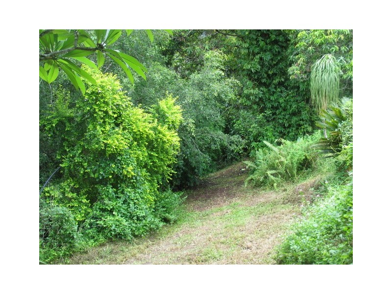 Little Mulgrave QLD 4865