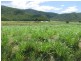 Gordonvale QLD 4865