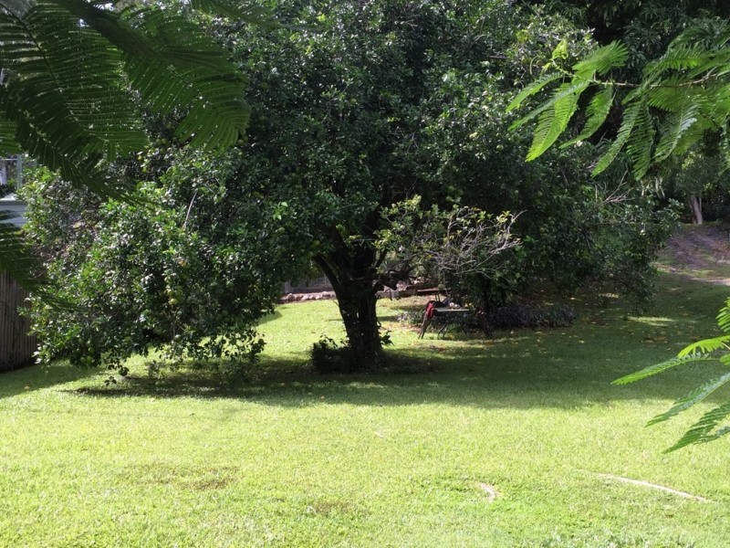 East Trinity QLD 4871