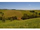 Jaggan QLD 4885