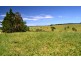Jaggan QLD 4885
