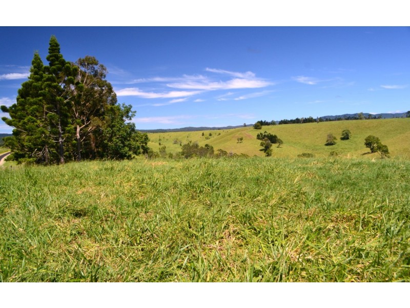 Jaggan QLD 4885