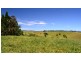 Jaggan QLD 4885