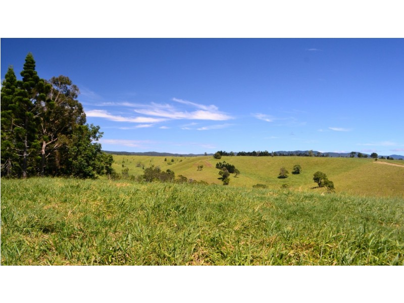 Jaggan QLD 4885