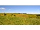 Jaggan QLD 4885