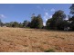 Malanda QLD 4885