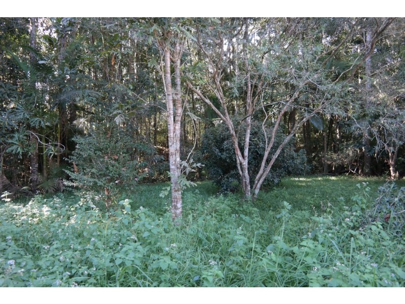 Malanda QLD 4885