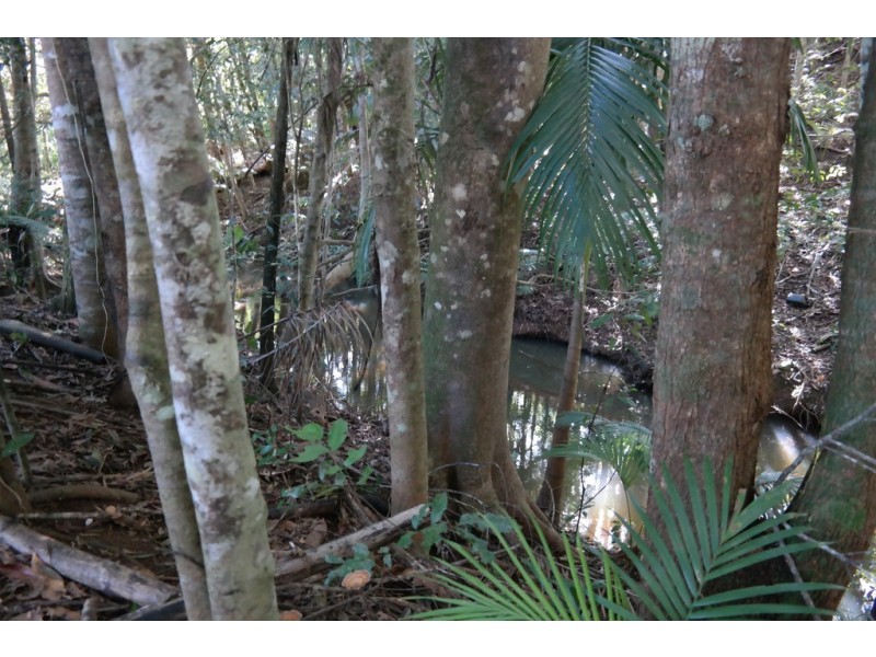 Malanda QLD 4885