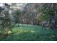 Malanda QLD 4885