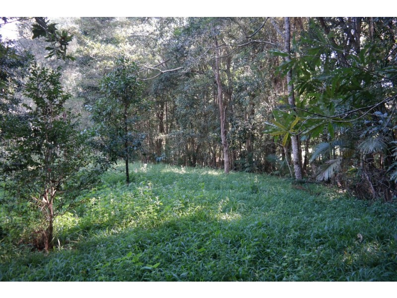 Malanda QLD 4885