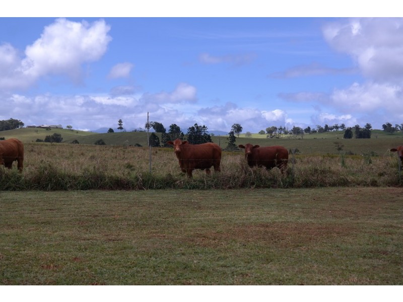Malanda QLD 4885