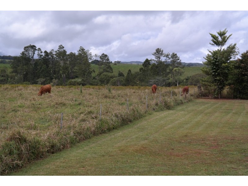 Malanda QLD 4885