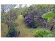 Malanda QLD 4885