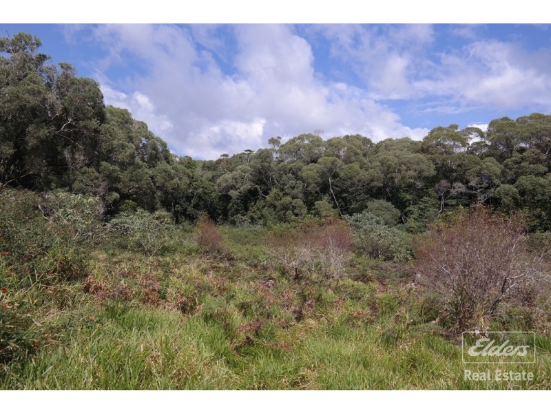Lake Eacham QLD 4884