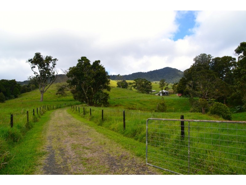 Millaa Millaa QLD 4886