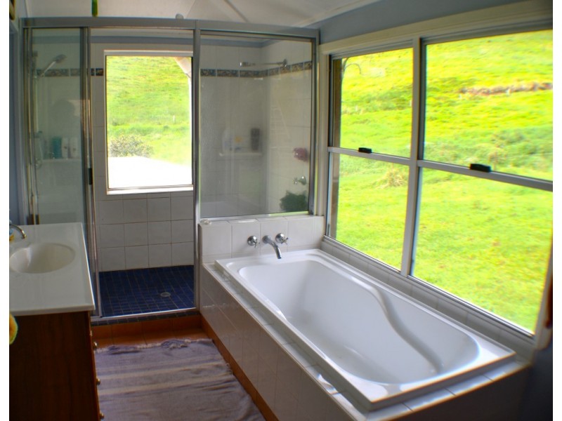 Millaa Millaa QLD 4886