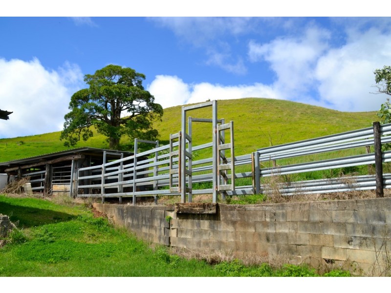 Millaa Millaa QLD 4886