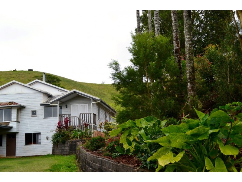 Millaa Millaa QLD 4886