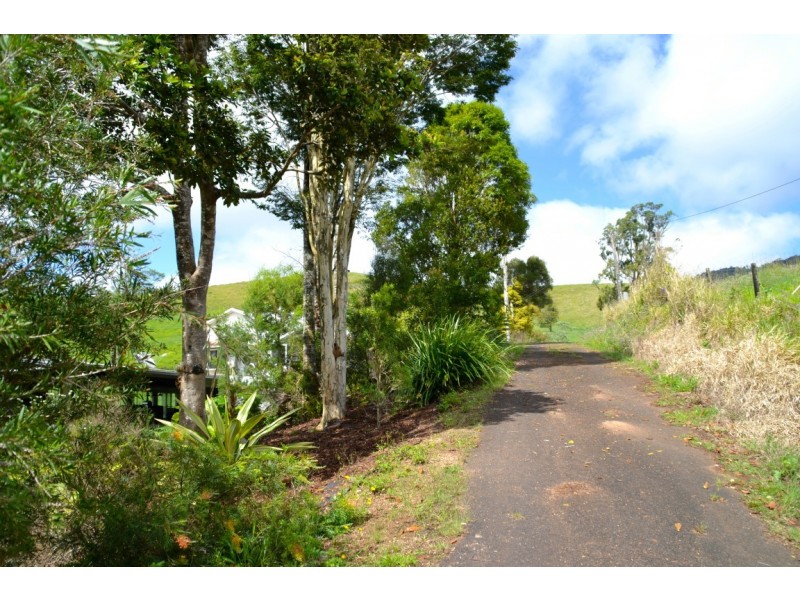 Millaa Millaa QLD 4886
