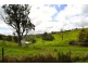 Millaa Millaa QLD 4886