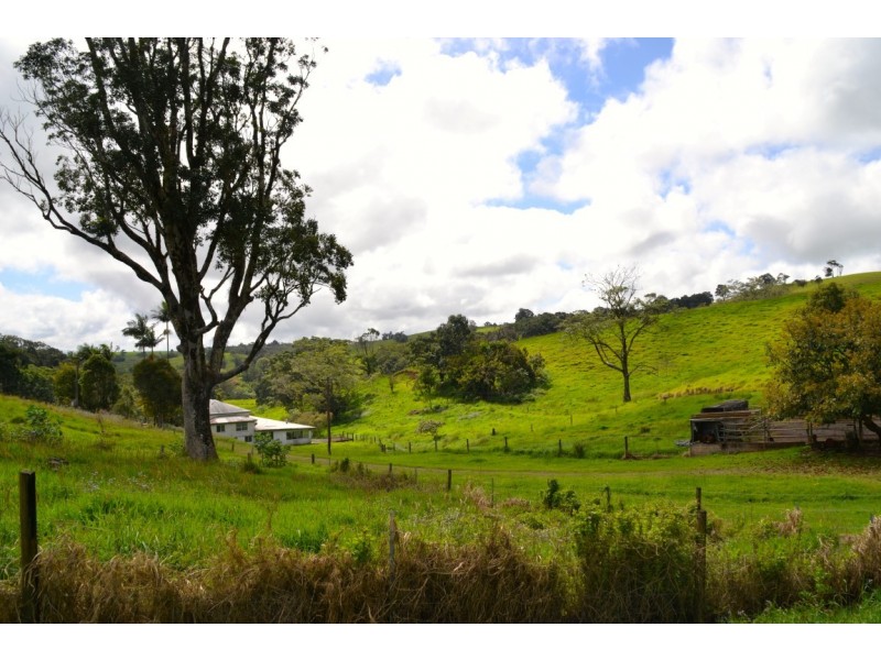 Millaa Millaa QLD 4886