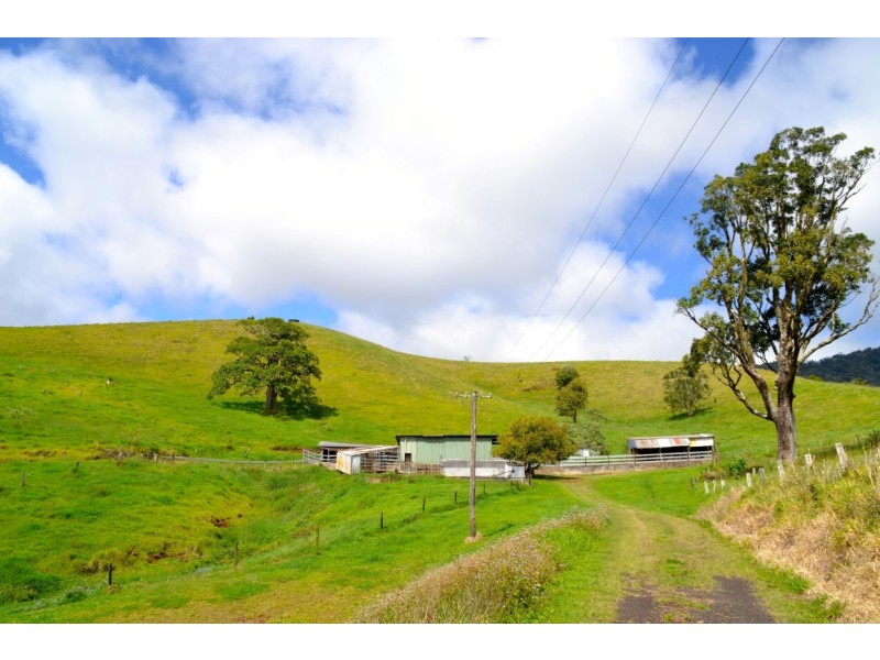 Millaa Millaa QLD 4886