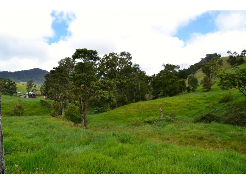 Millaa Millaa QLD 4886