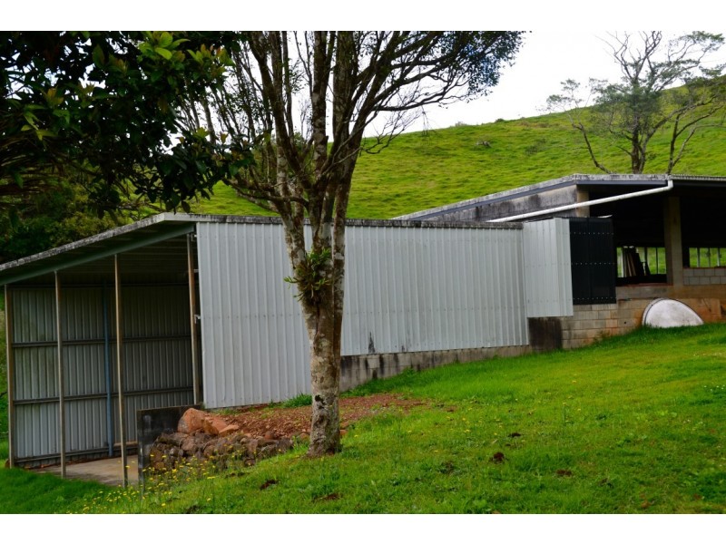 Millaa Millaa QLD 4886