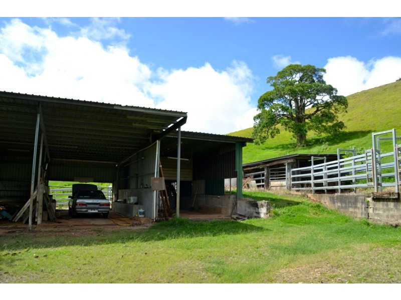 Millaa Millaa QLD 4886