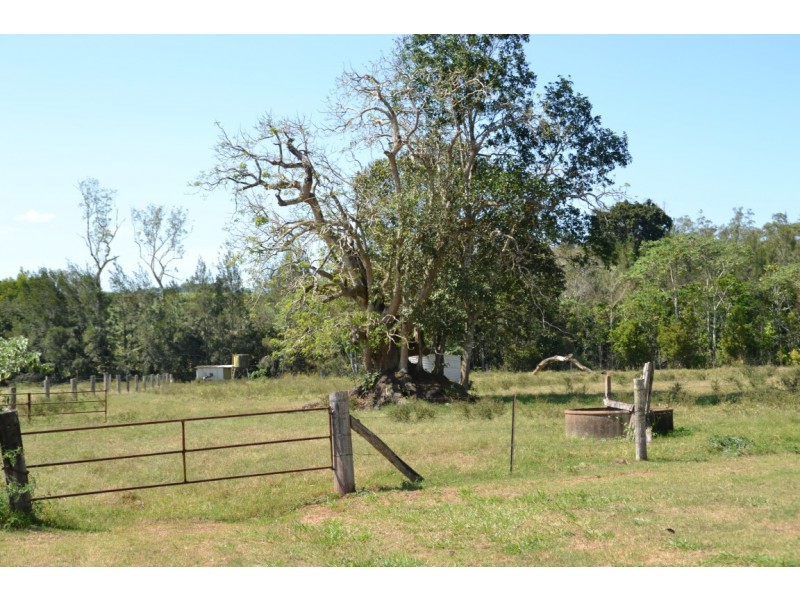 Yungaburra QLD 4884