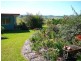 Malanda QLD 4885