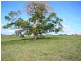 Malanda QLD 4885