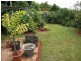 Malanda QLD 4885