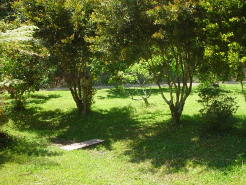 Millaa Millaa QLD 4886